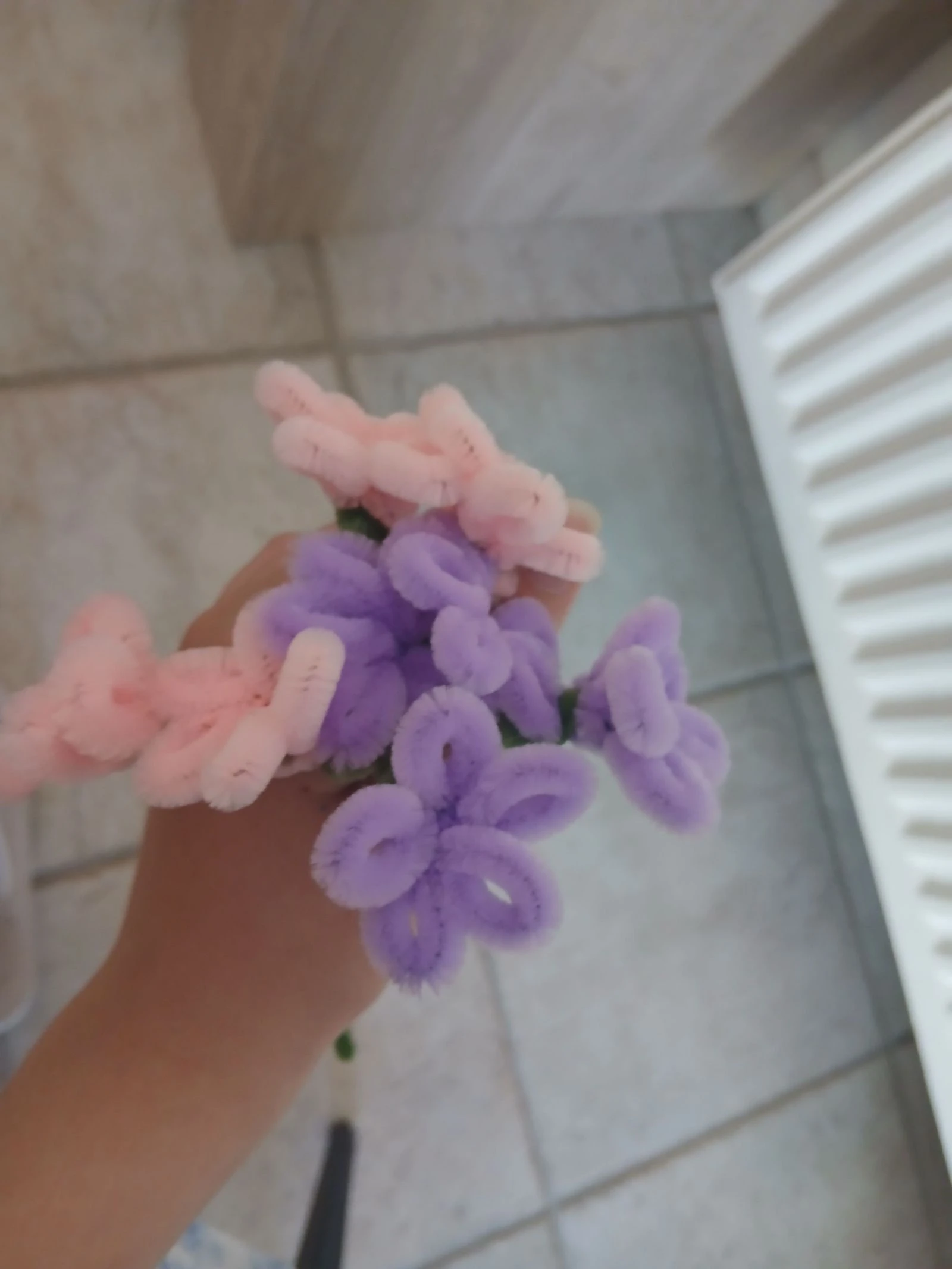 Fleurs